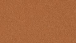 Leather Thema 5184